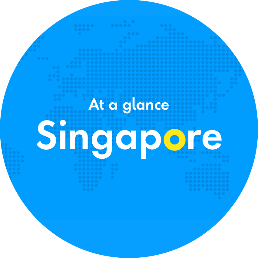 A closer look at Singapore - traveler stats
